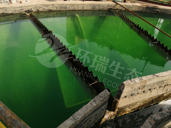 除氟劑