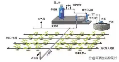 微信圖片_202505271705272.png