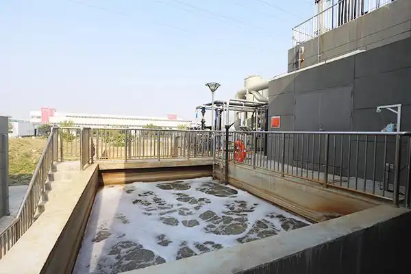 微信圖片_20250630161344_97.png