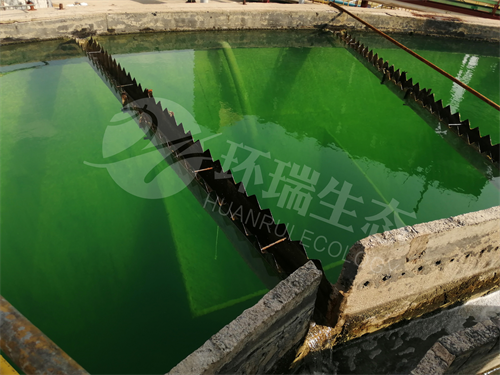 除氟劑