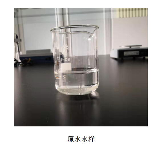 20190822.1.jpg
