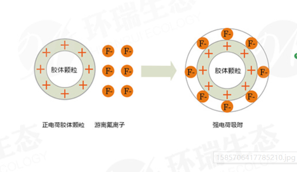 圖片2.png